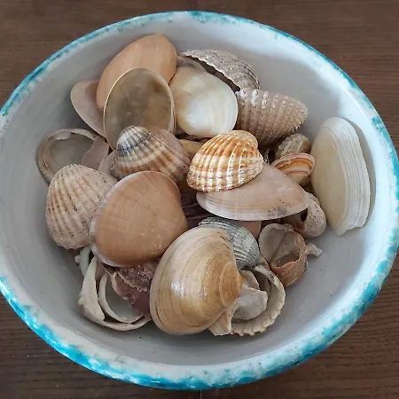 Sun And Ii Ac Wifi 90mts From The Appartement *